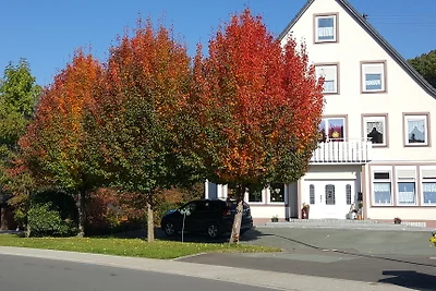 Ferienwohnungen KuckucksNest