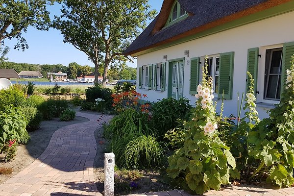 Ferienwohnung Ummanz