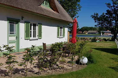 Boddenoase-Rügen