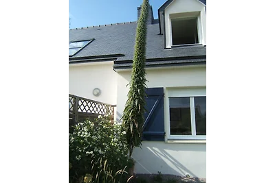 Haus am Meer in der frein 