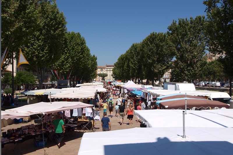 Markt von Narbonne