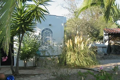 Casa das Palmeiras