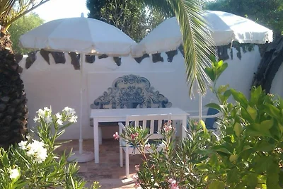 Casa das Palmeiras