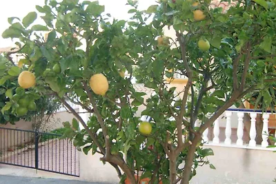 FH Costa Blanca Meer Spanien privat