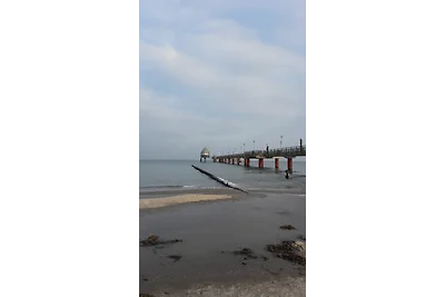 Zingst, Strandstrasse, Fewo 7