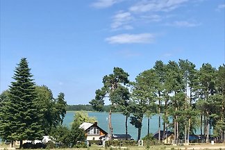 Matilda III-Wasser, Wiese, Wald
