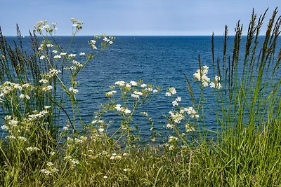 Vakantiewoning Ostseelicht Barendorf