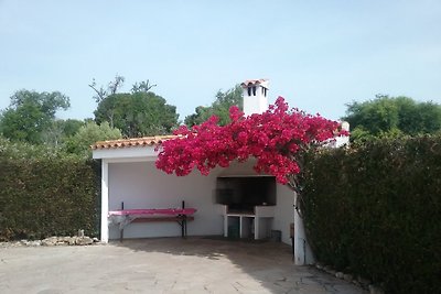 Cala Puntal Vinaros, WLAN gratis