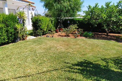 Cala Puntal Vinaros, WLAN gratis