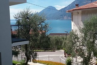 Appartement Orchidea