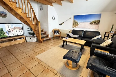 Orso del Mare del Nord vicino a Greetsiel