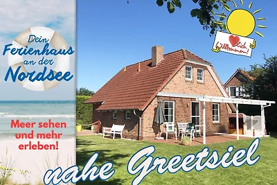 Orso del Mare del Nord vicino a Greetsiel