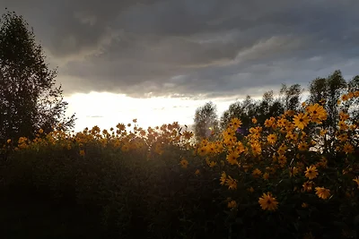 Casa di vacanza SommerRose