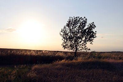 Casa di vacanza SommerRose