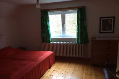 Amamelide della casa