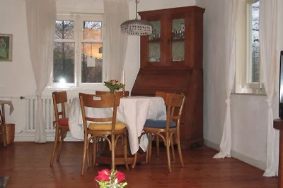 Amamelide della casa