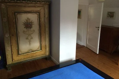 Amamelide della casa