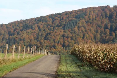 Amamelide della casa