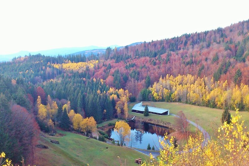 Herbst im Bayerischen Wald