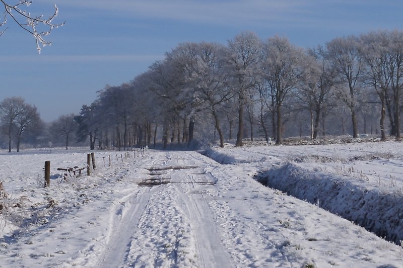 Auch die winterliche Landschaft in Ostfriesland lädt zu Spaziergängen und zum Walken ein