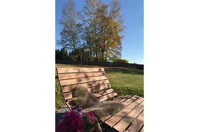 5 * Casa vacanze Berghütte Vogtland