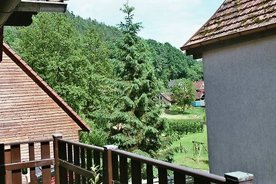 Small Alsatian village house