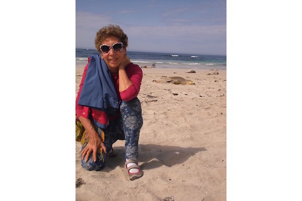 Mrs. R. Becerra gallardo Mrs. R. Becerra gallardo