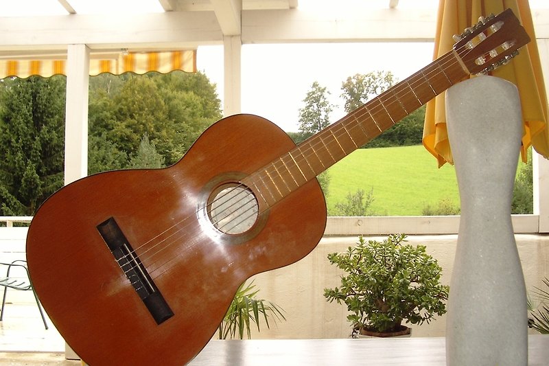 Španjolska gitara