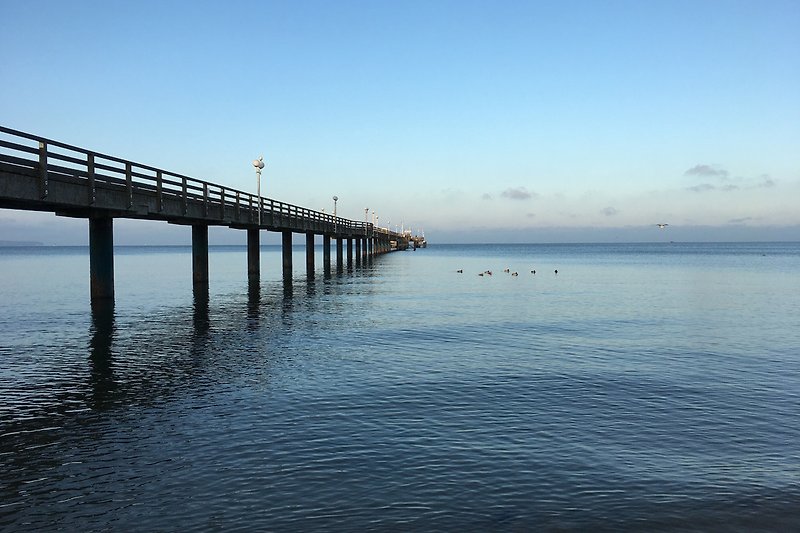 Die Seebrücke in Binz.