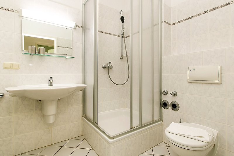 Salle de bain avec douche et toilettes
