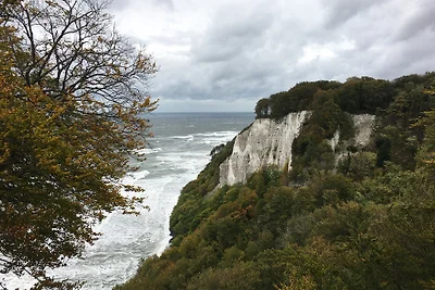 Die Kreideküste am Königsstuhl im Herbststurm. Die Kreideküste am Königsstuhl im Herbststurm.