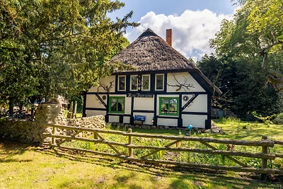 Eichhörnchennest - Alte Försterei