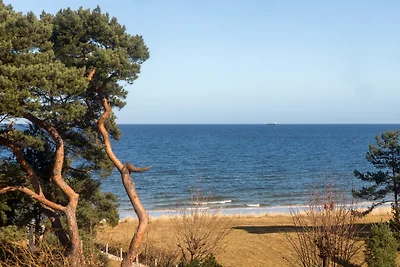 Villa Freia, Appartamento Wellenspiel