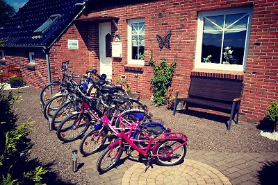 Nordsee Anker