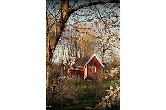 Ferienhaus Pyttebo in Åsljunga