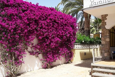 PARAISO DEL SOL e