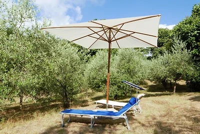 Podere Pozzuolo