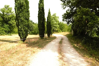 Podere Pozzuolo