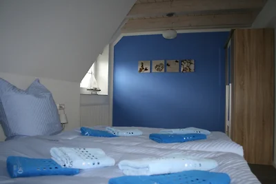 Casa di vacanza Ostseebrandung-Seestern