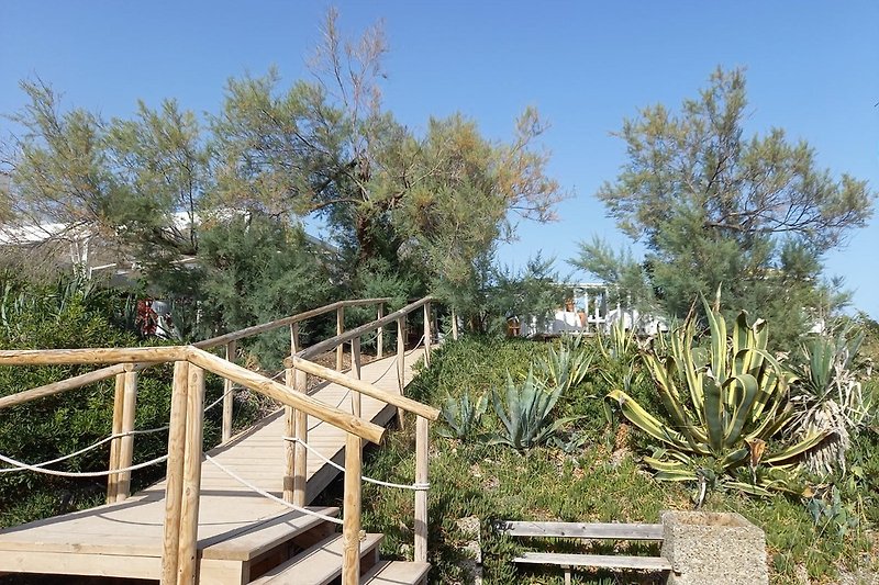 Der Strand bei San Pietro in Bevagna