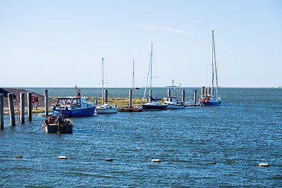 Neue Schule Wasserkoog-Kleines Haus