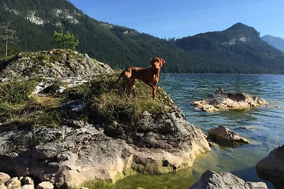 Wassermühle in Grundlsee Österreich