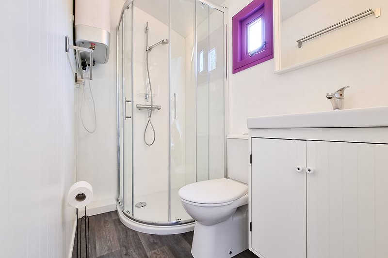 SE01 Badezimmer mit Dusche und Toilette