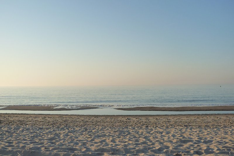 BG02-Strand