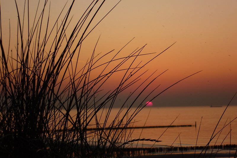 Strand Domburg