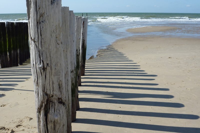BG02-Strand