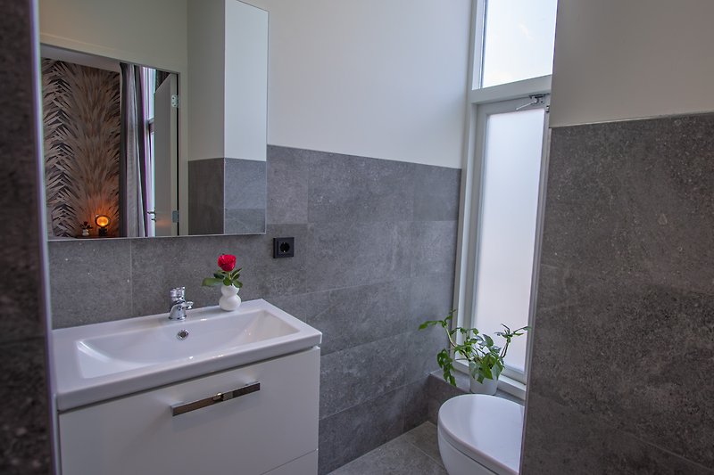 DO43 Schönes Badezimmer mit Spiegel, Pflanze und Waschbecken.