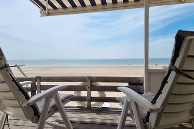 Strandhaus Dishoek DI01 mit Hund!