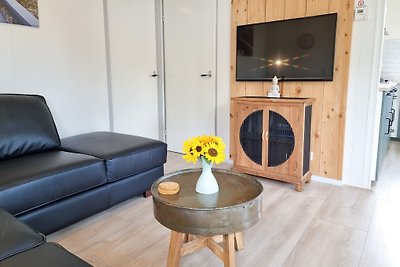 Ferienhaus ZO04 Zoutelande