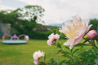 Eckwirt am Klopeiner see- Turnersee